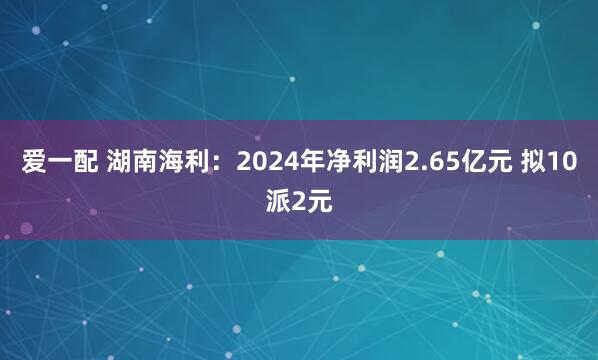 爱一配 湖南海利：2024年净利润2.65亿元 拟10派2元
