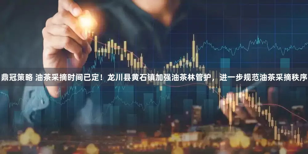 鼎冠策略 油茶采摘时间已定！龙川县黄石镇加强油茶林管护，进一步规范油茶采摘秩序